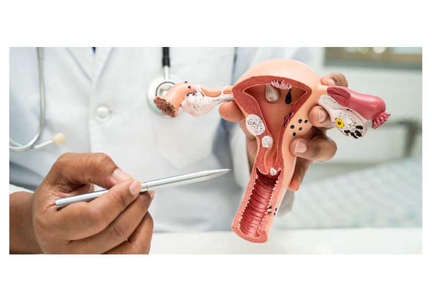 Hysteroscopy