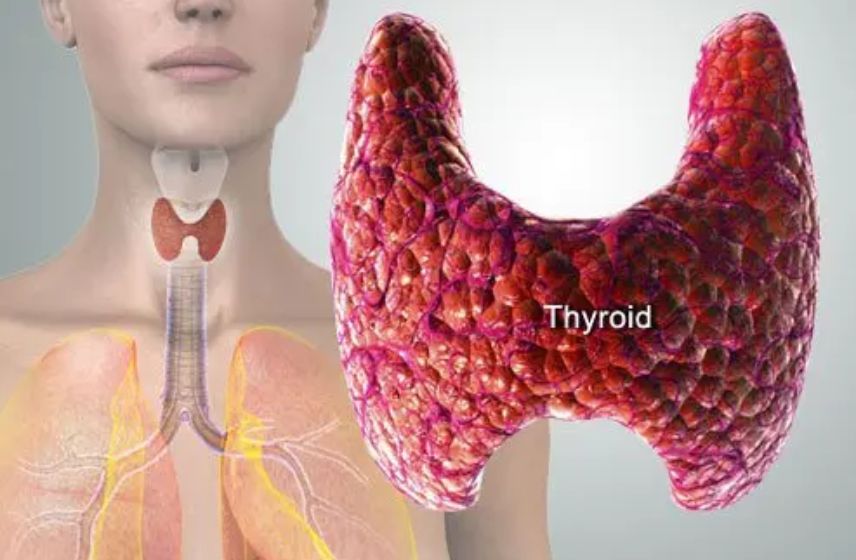 Thyroid treatment and testing in Pune with Dr Shruti Patil — expert care for thyroid disorders and women’s hormonal health